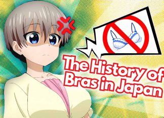 The History of Bras in Japan and the Struggles of Buying Larger Bras in the Land of Hentai