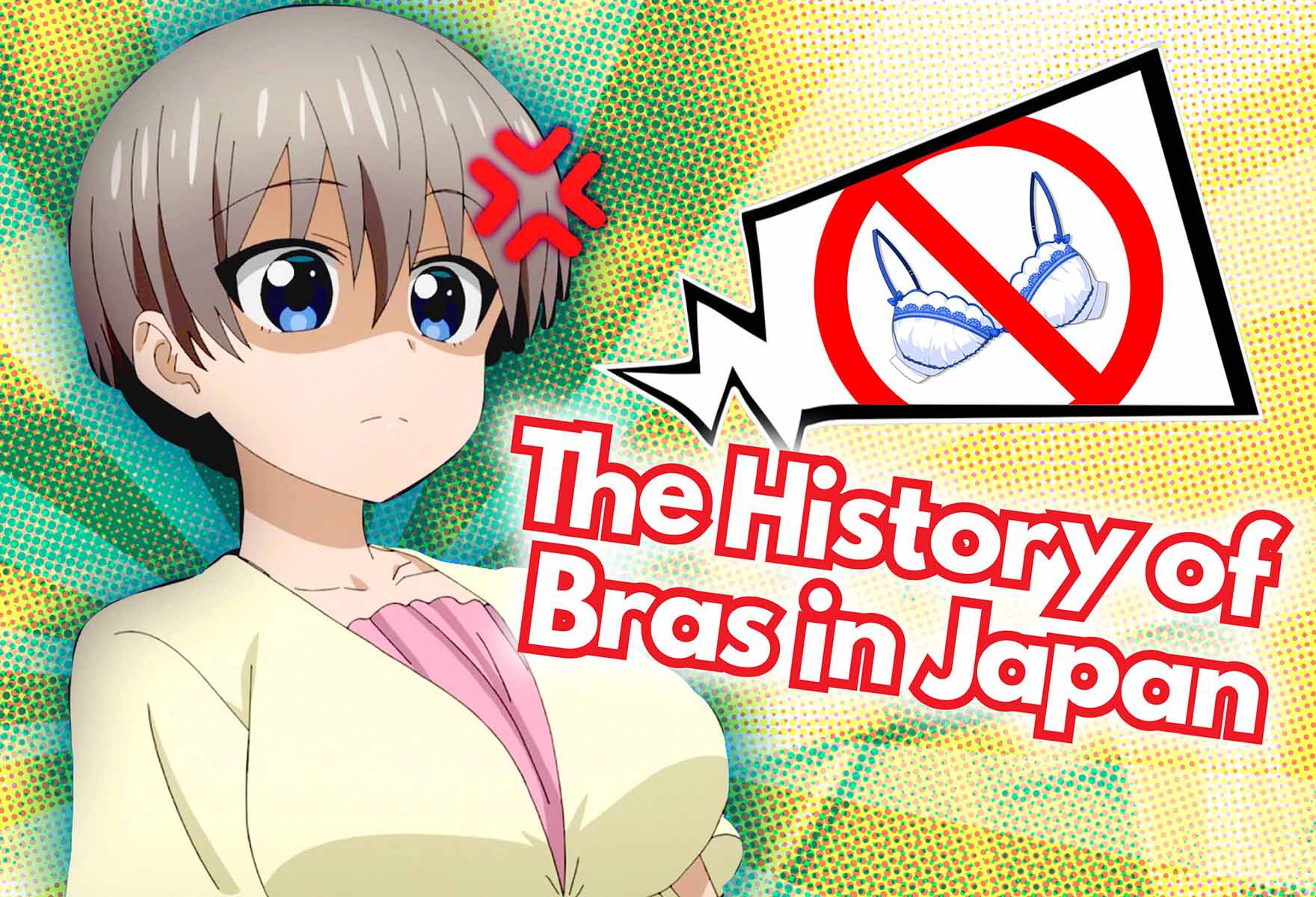 The History of Bras in Japan and the Struggles of Buying Larger Bras in the  Land of Hentai - Irodori Comics