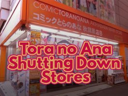 Cover for a blog article with the text, "Torano Ana Shutting Down Stores"