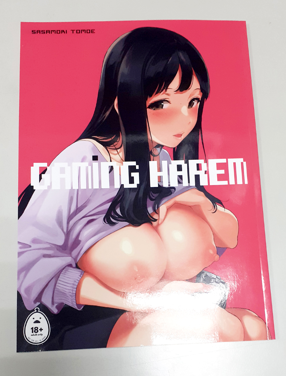 GAMING HAREM 1 Physical Book