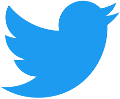 A sky blue Twitter logo.